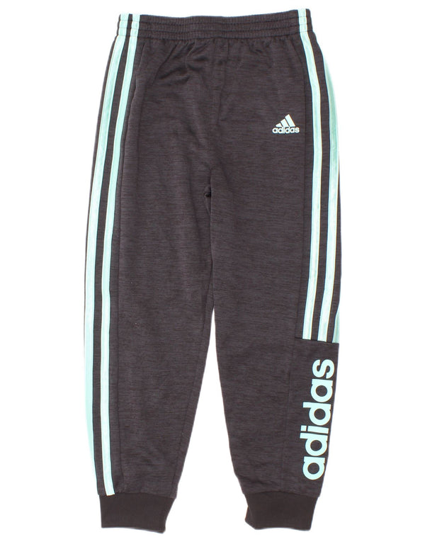 Chłopięce spodnie dresowe Adidas z grafiką, 5-6 lat, szary poliester