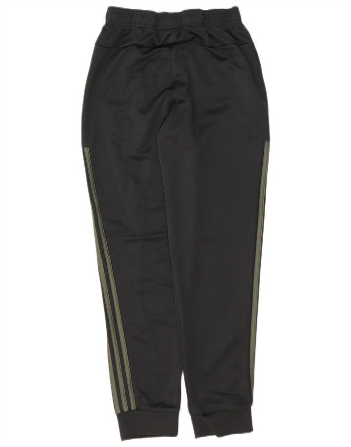 Adidas Męskie spodnie dresowe Joggery Małe Khaki Poliester