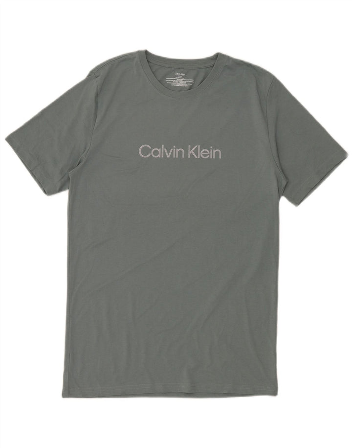 Męski T-shirt z grafiką Calvin Klein, mały, szary, bawełniany