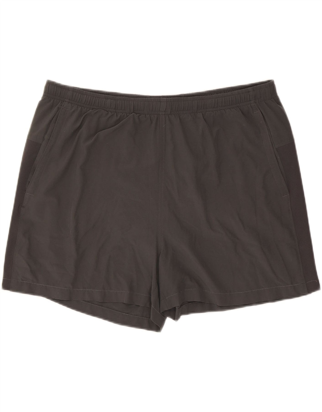 Męskie spodenki sportowe The North Face Regular, XL, szary, poliester