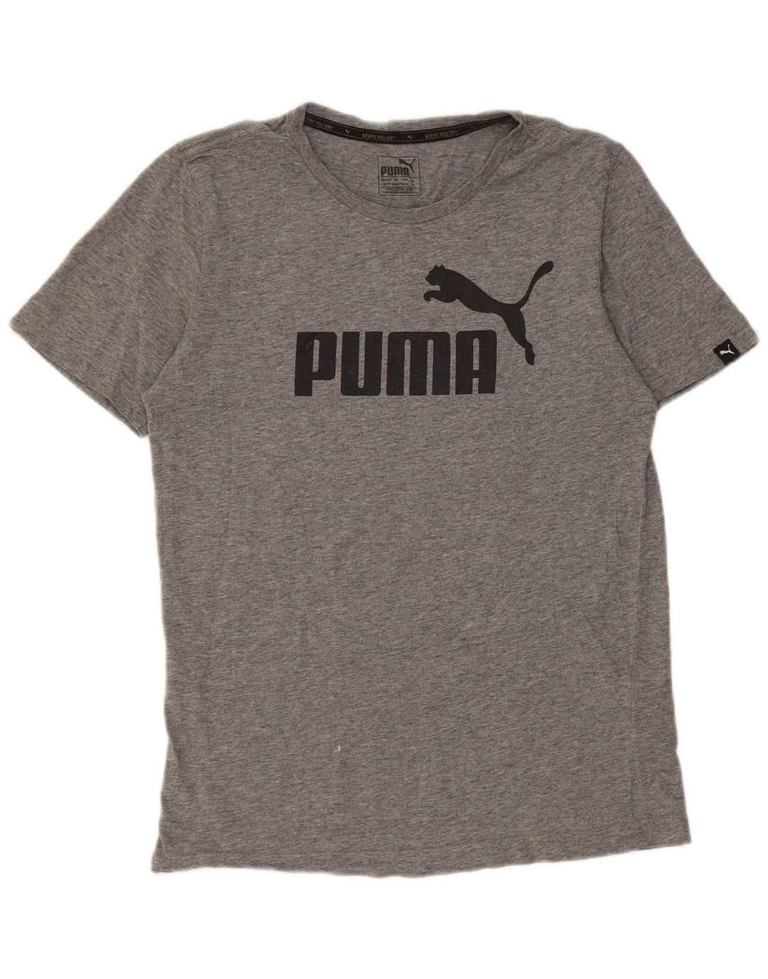 Męska koszulka z grafiką Puma Top XS, szara bawełna