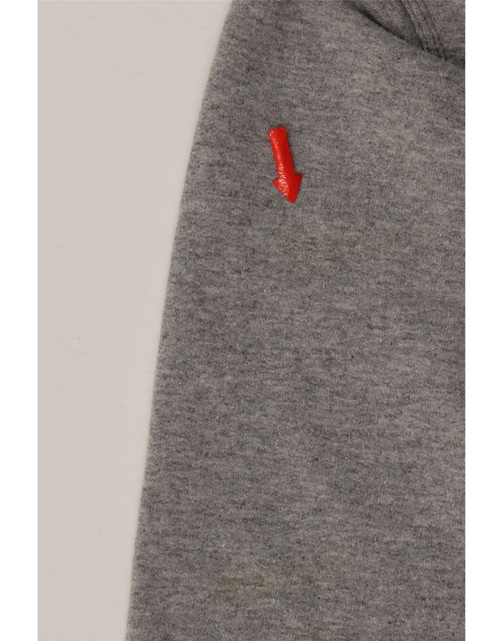Męski sweter z grafiką Champion, mały, szary, bawełniany