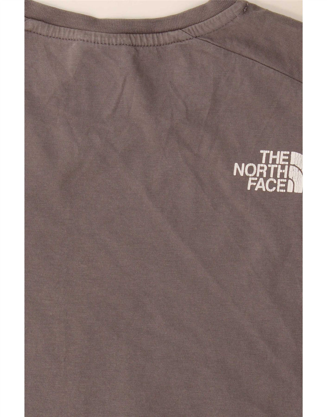 Męski T-shirt z regularną grafiką The North Face, mały, szary, blok kolorów