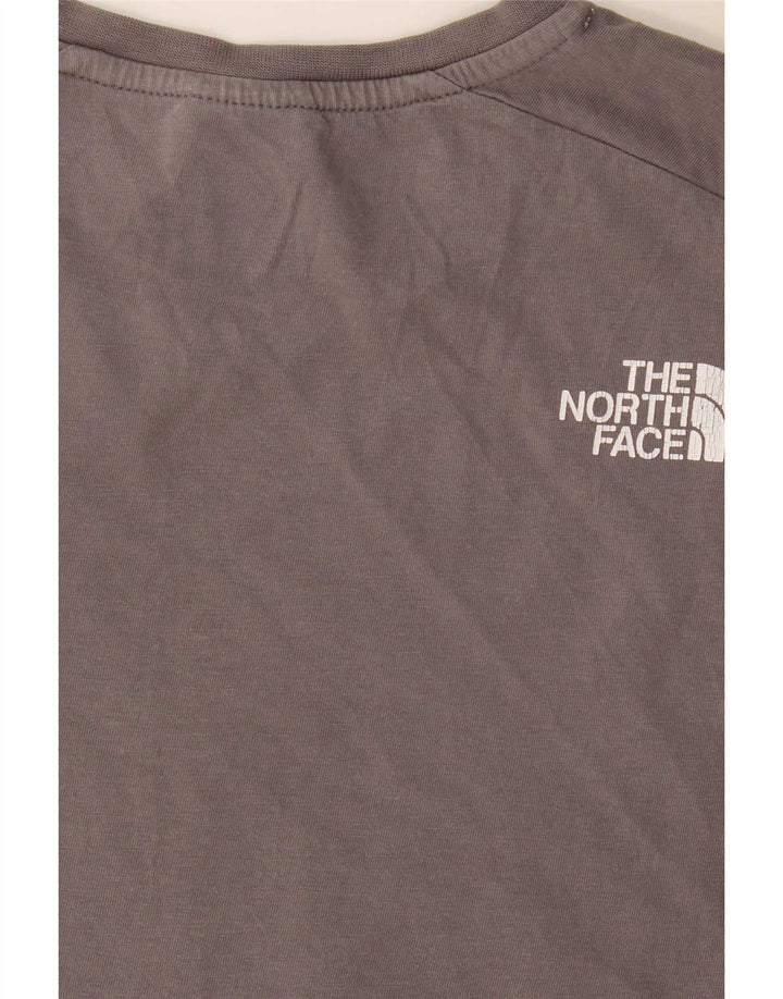 Męski T-shirt z regularną grafiką The North Face, mały, szary, blok kolorów