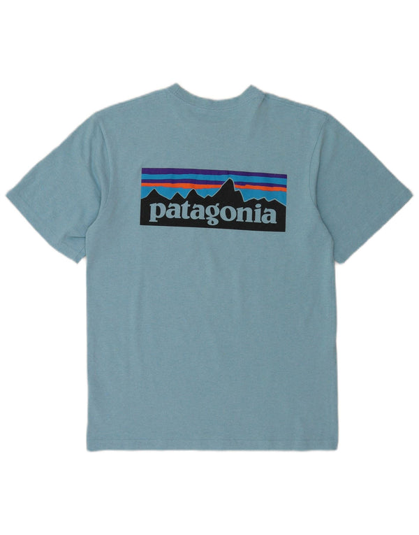 Męski T-shirt z grafiką Patagonia o regularnym kroju, niebieski
