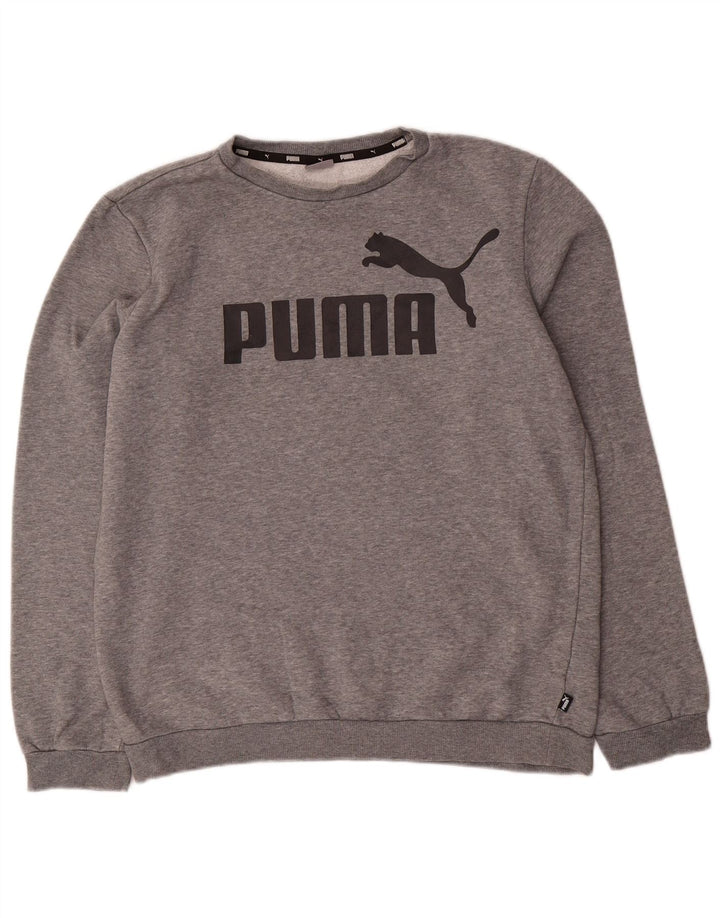 Chłopięcy sweter z grafiką PUMA, 15-16 lat, szara bawełna