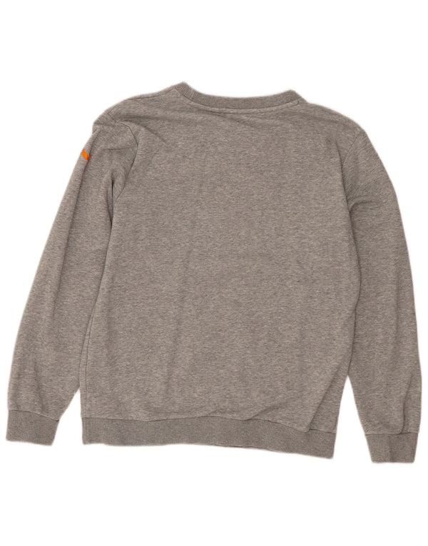 Męska bluza z grafiką Puma, mała, szara, nakrapiana bawełna