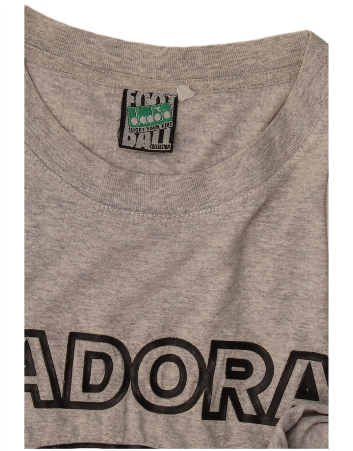 Męski T-shirt z grafiką Diadora, duży, szary