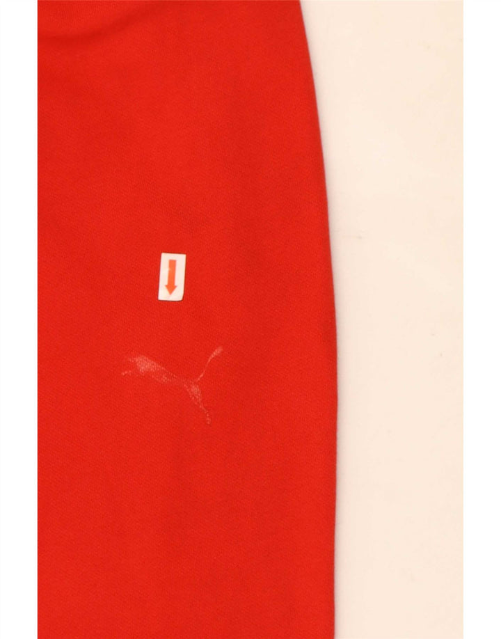 Męskie spodnie dresowe Puma Joggers, duże, czerwone, bawełniane