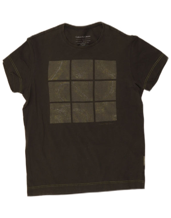 Męska koszulka z grafiką Calvin Klein Jeans, mała, bawełniana w kolorze khaki