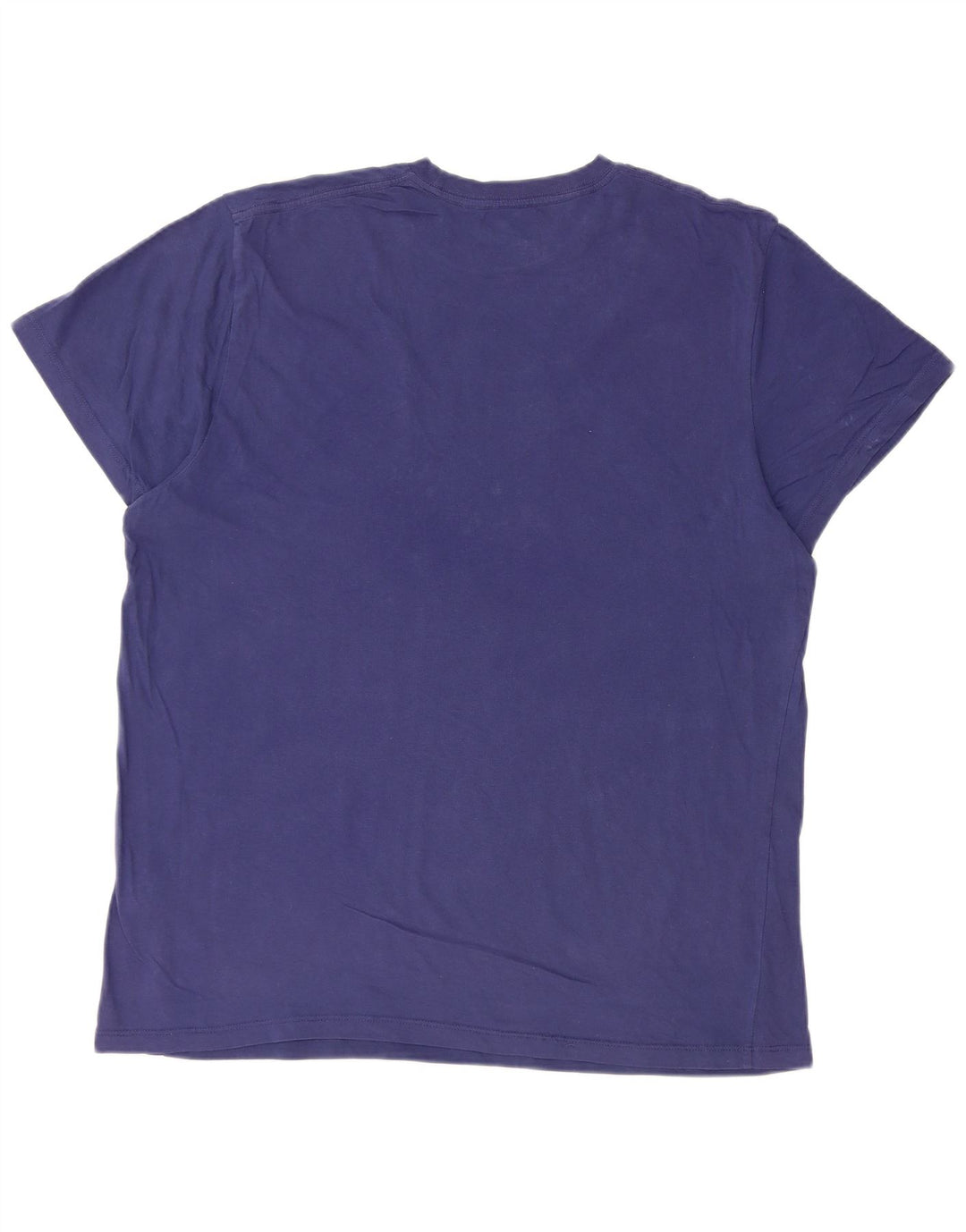 Męska koszulka VANS o dopasowanym kroju z grafiką, XL, niebieska, bawełniana