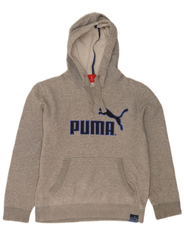 Męska bluza z kapturem Puma z grafiką, mała, szara, nakrapiana