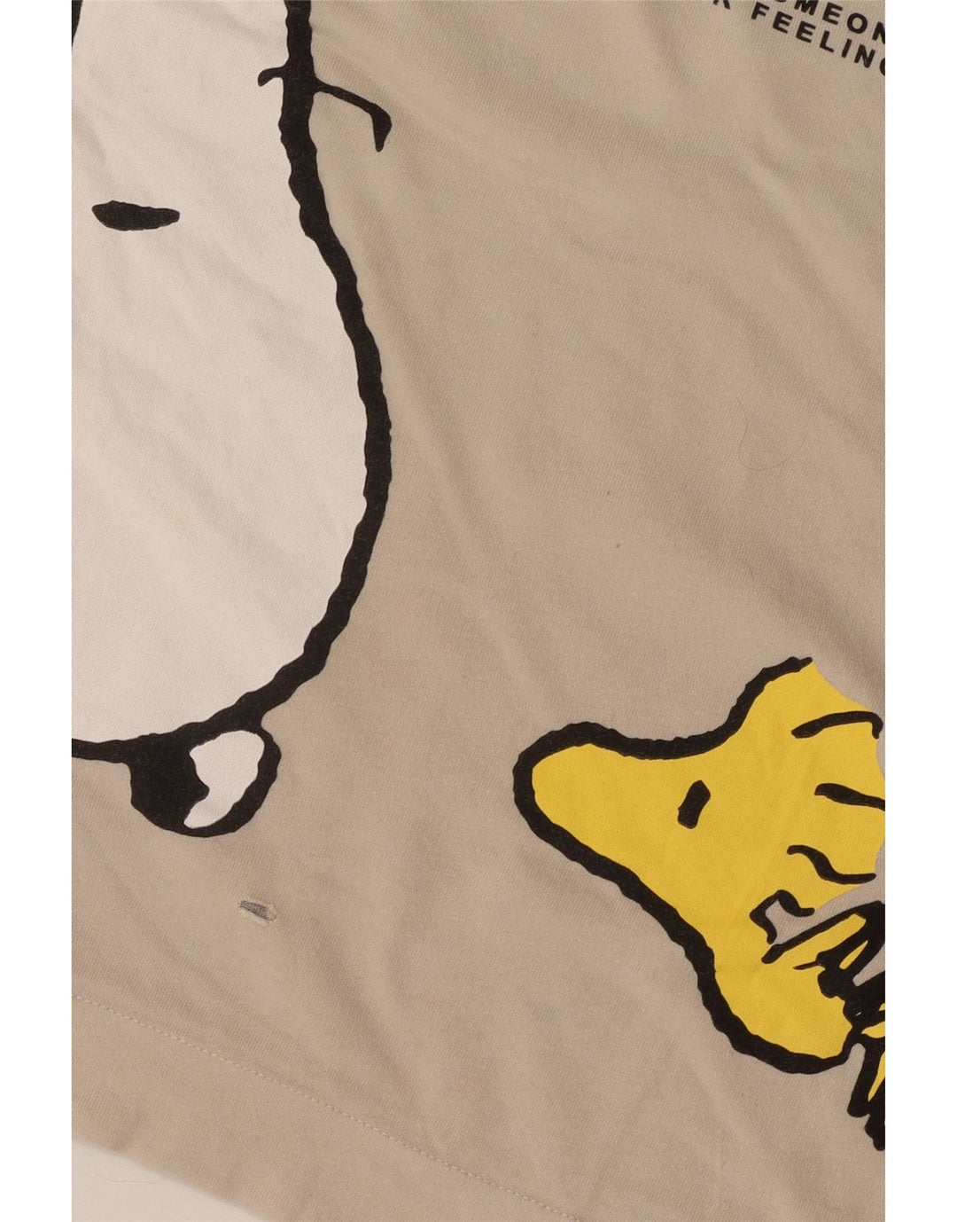 Chłopięcy T-shirt z grafiką Zara 9-10 lat w kolorze złamanej bieli