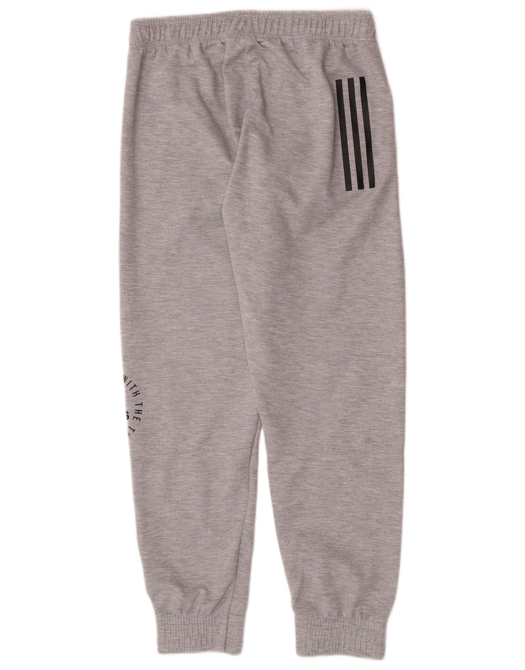 Męskie spodnie dresowe Adidas z grafiką, średnioszare, poliestrowe