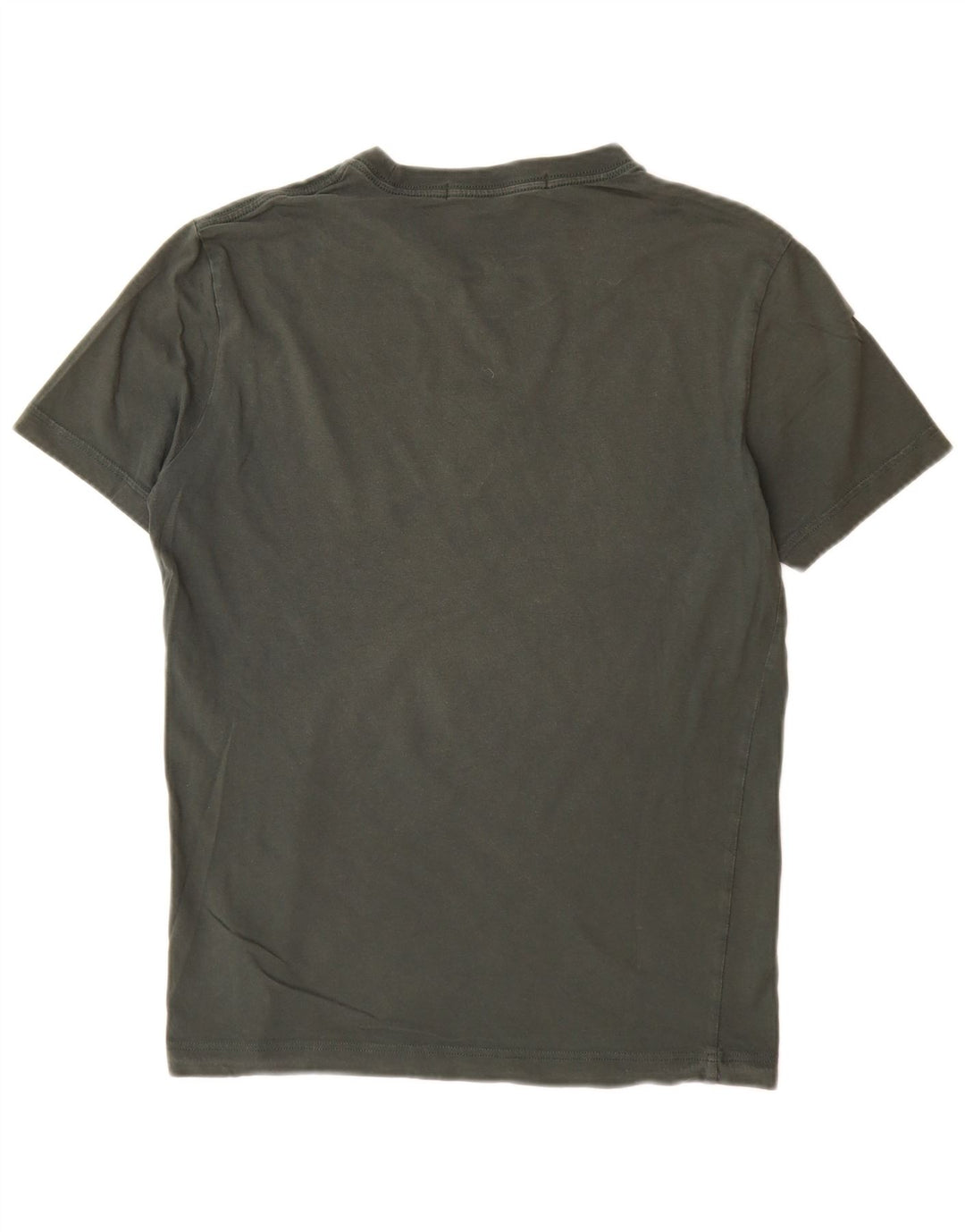 CALVIN KLEIN JEANS Męski T-shirt z grafiką, mały, bawełniany khaki