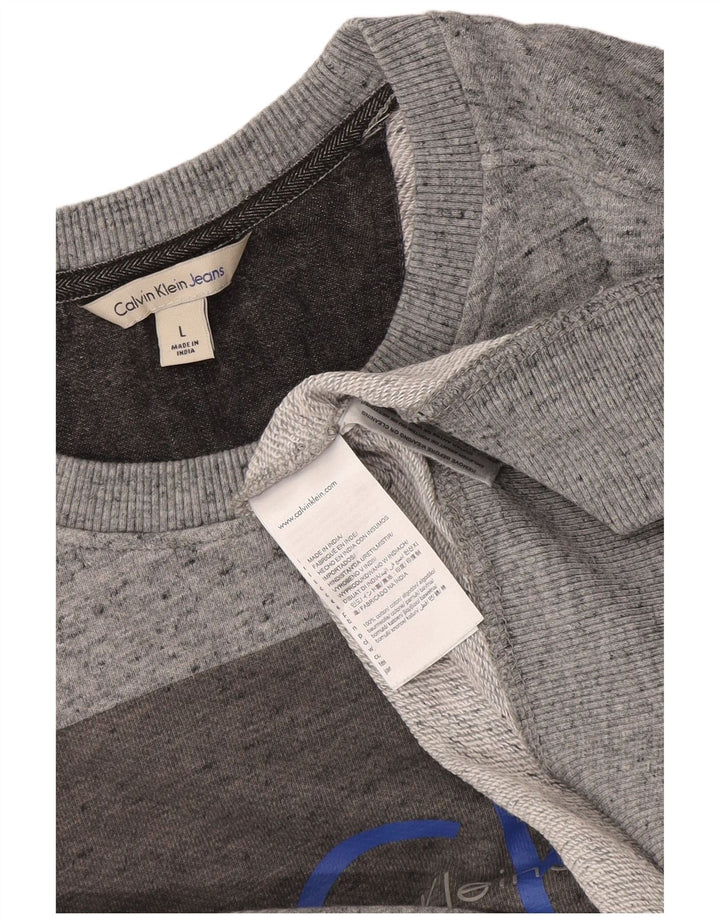 Męski sweter Calvin Klein z graficznym wycięciem pod szyją, duży, szary, nakrapiany