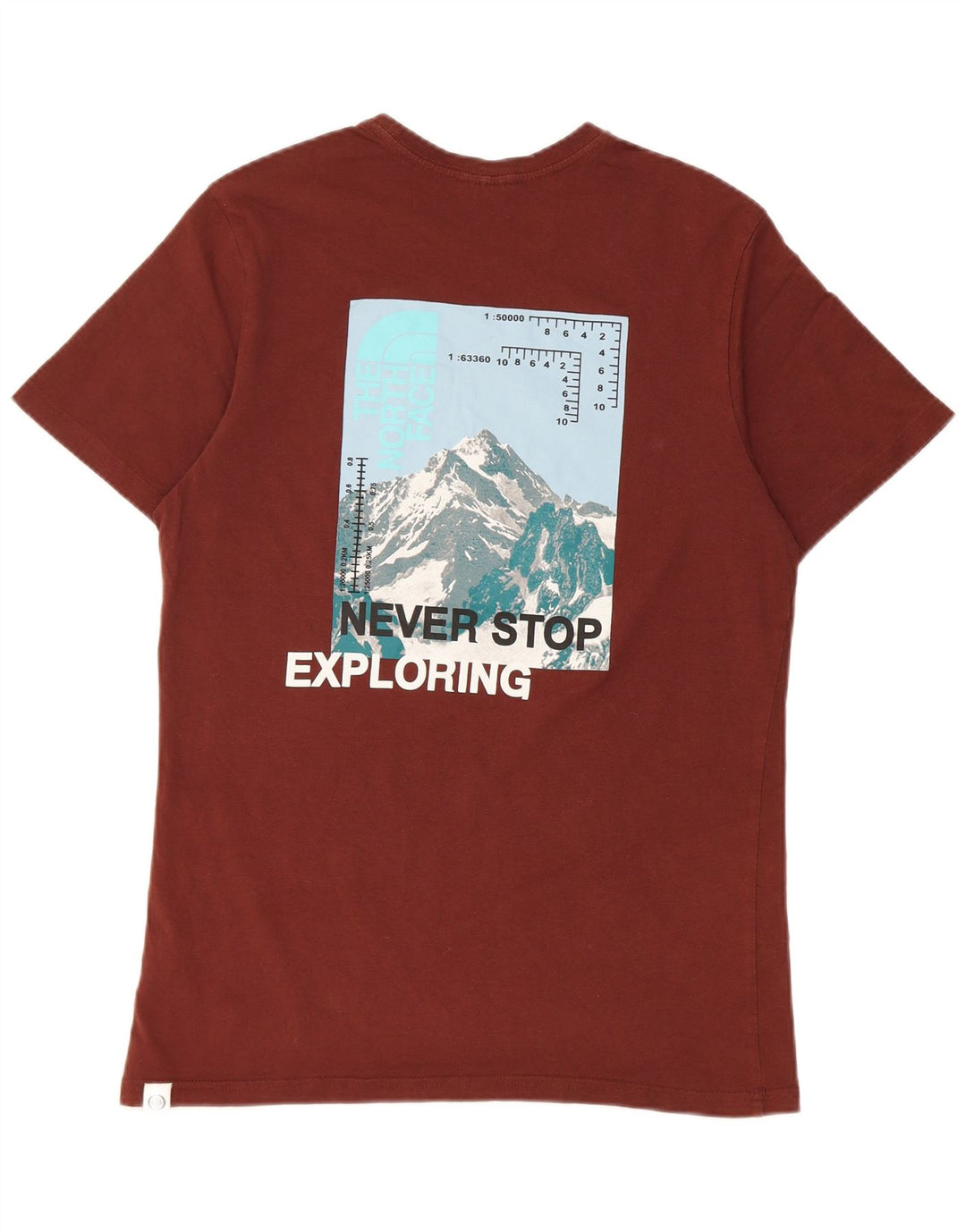 Męski T-shirt z grafiką The North Face, bawełniany, średnio brązowy
