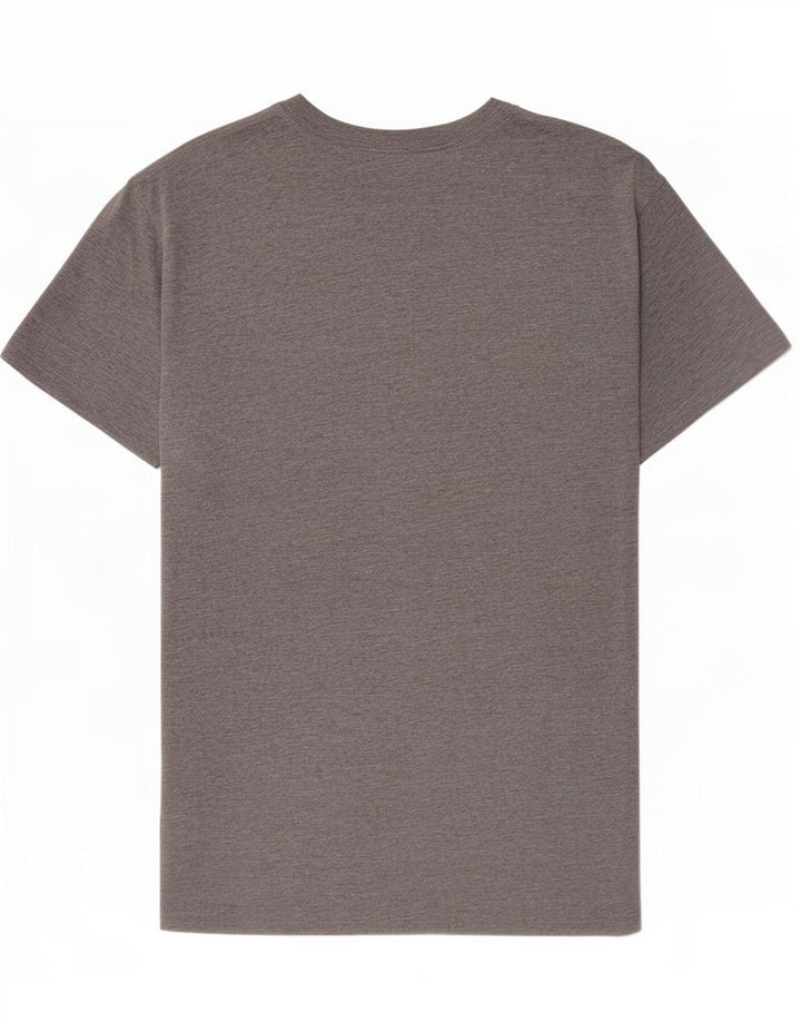 Męski T-shirt z grafiką Vans, średnioszary, bawełniany