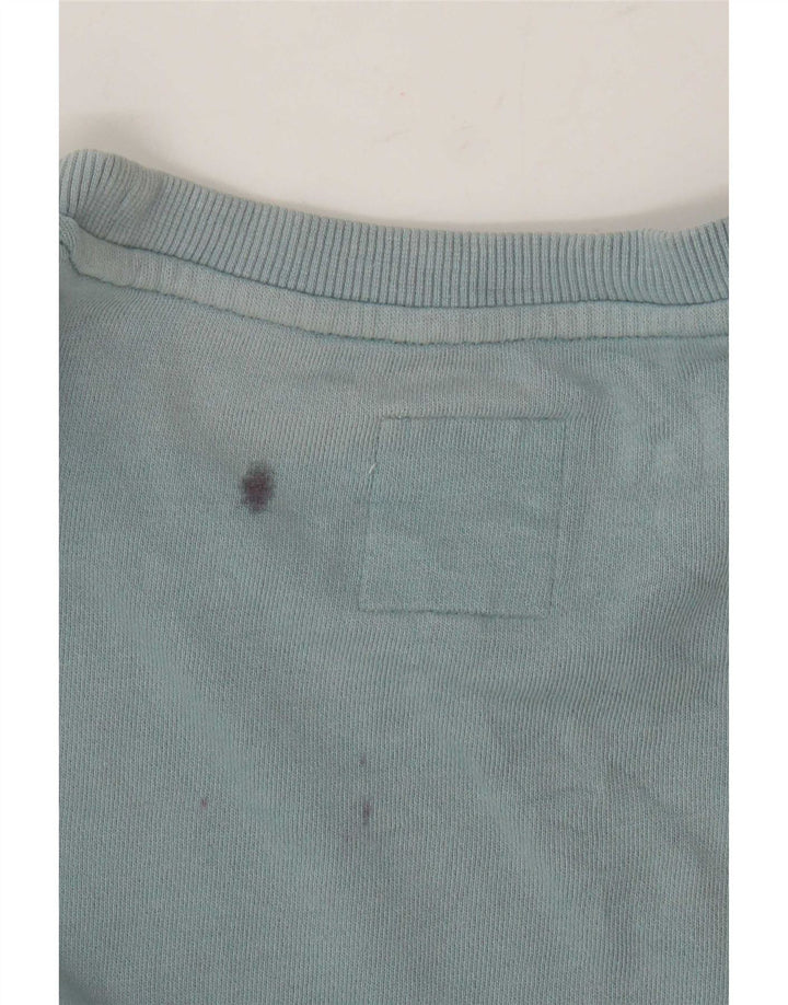 Męska bluza z grafiką Rip Curl, mała, niebieska, bawełniana