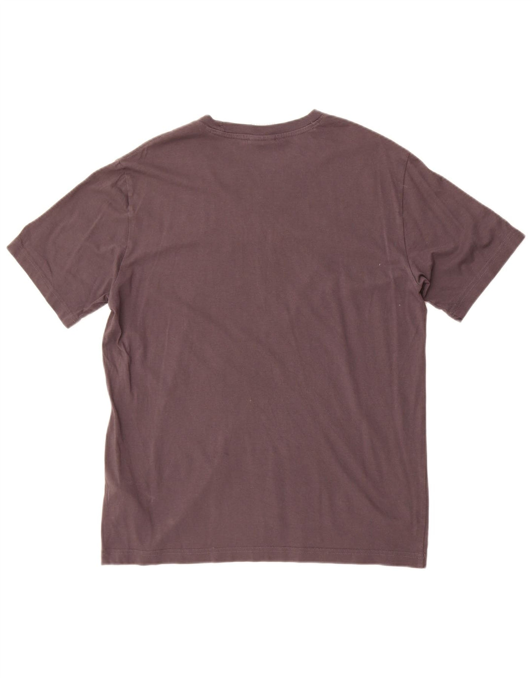 Męski T-shirt Champion z grafiką, mały, szary, bawełniany