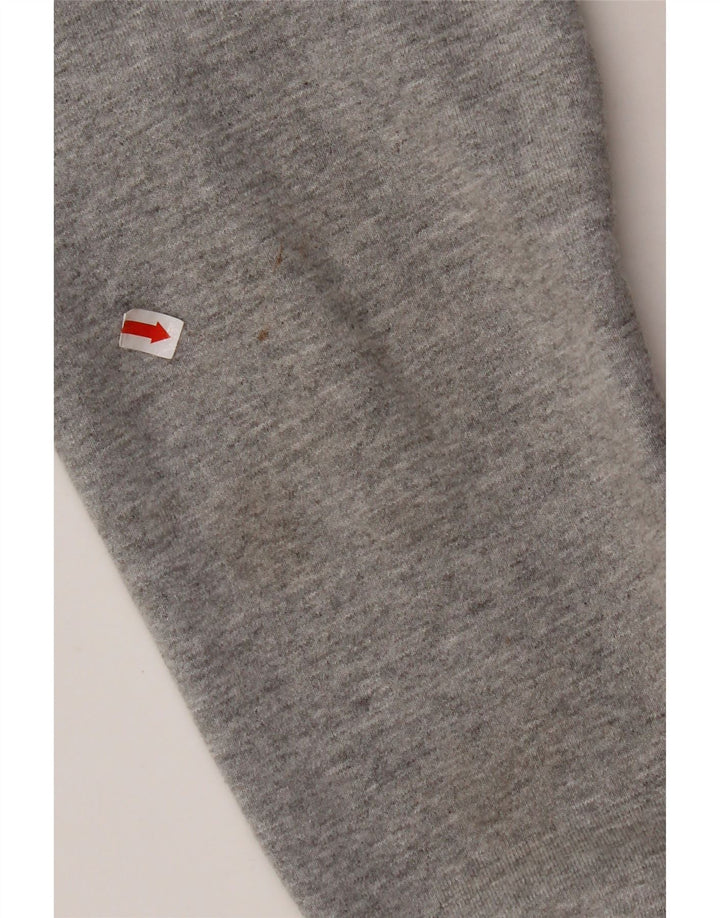 Męski sweter z kapturem THE NORTH FACE, mały, szary, z blokami kolorów, bawełniany