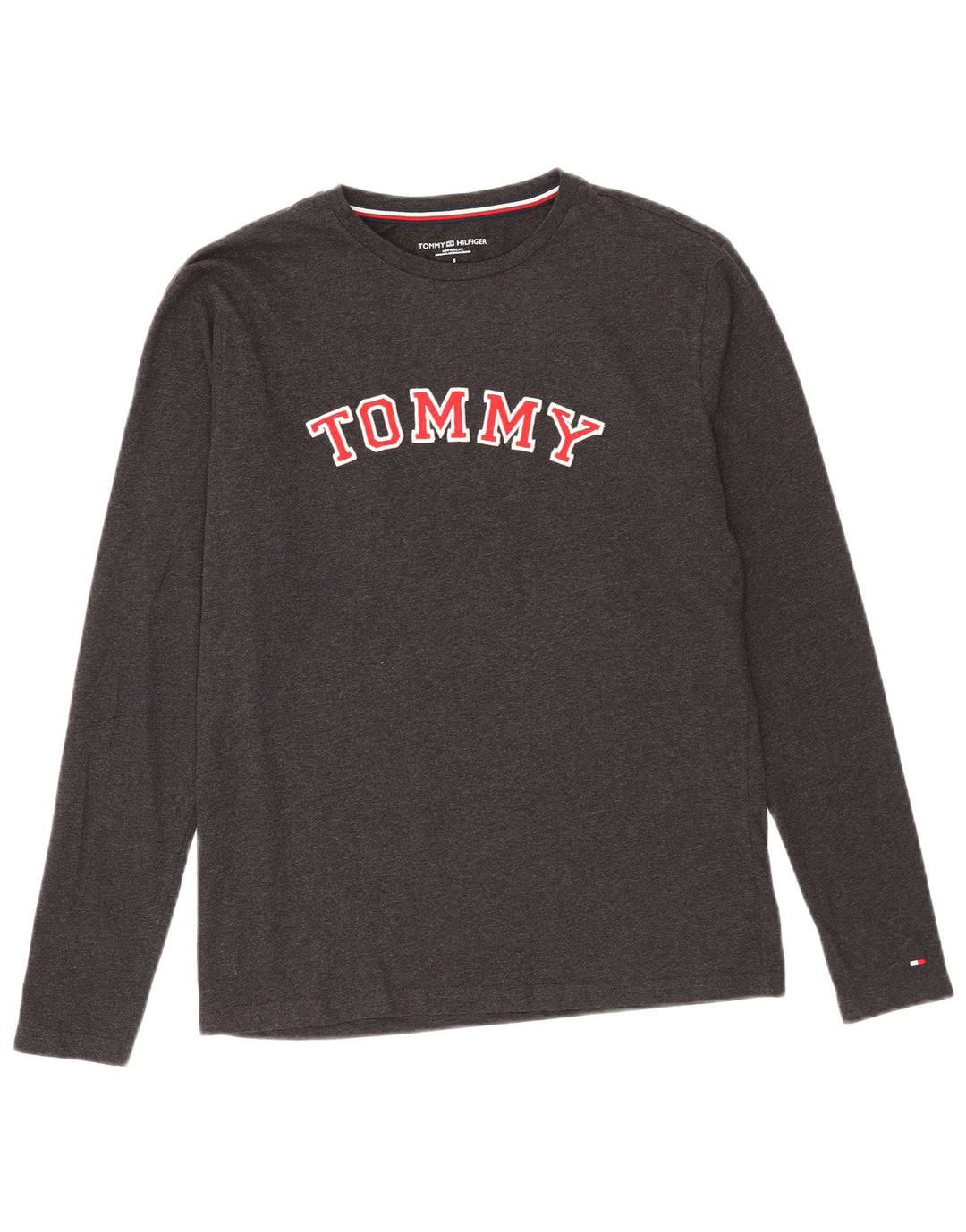 Męski top graficzny Tommy Hilfiger z długim rękawem, mały, szary, bawełniany