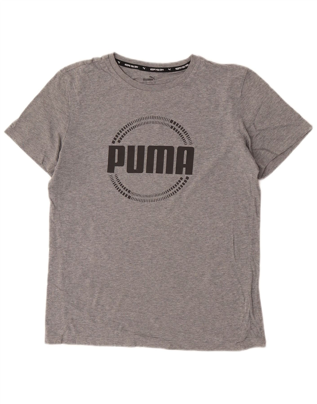Chłopięcy T-shirt z grafiką Puma, 15-16 lat, szary