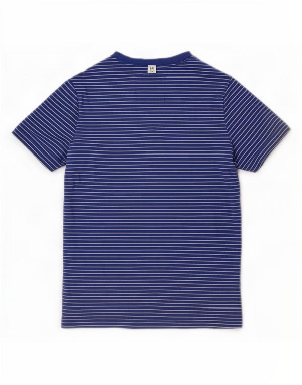 T-shirt męski Hollister, bawełniany, w małe niebieskie paski
