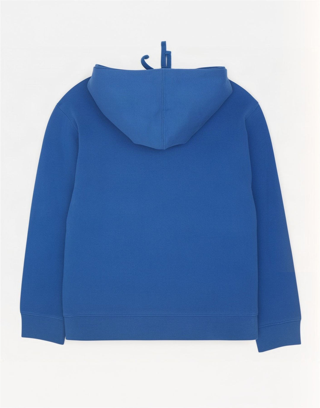 Męski sweter z kapturem The North Face z grafiką, w kolorze średniego błękitu, bawełniany