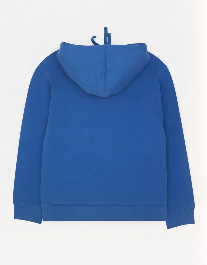 Męski sweter z kapturem The North Face z grafiką, w kolorze średniego błękitu, bawełniany