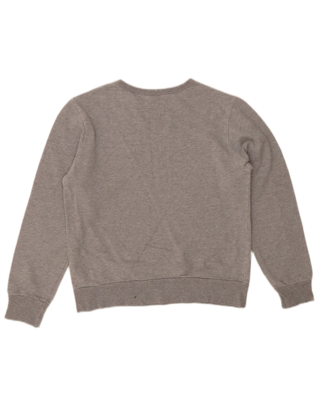 Bluza chłopięca LEVI'S z grafiką, 11-12 lat, szara bawełna