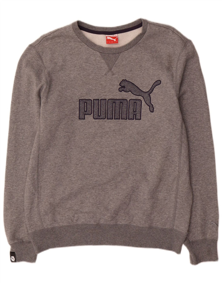 Męska bluza Puma z grafiką o regularnym kroju, średnioszara, bawełniana