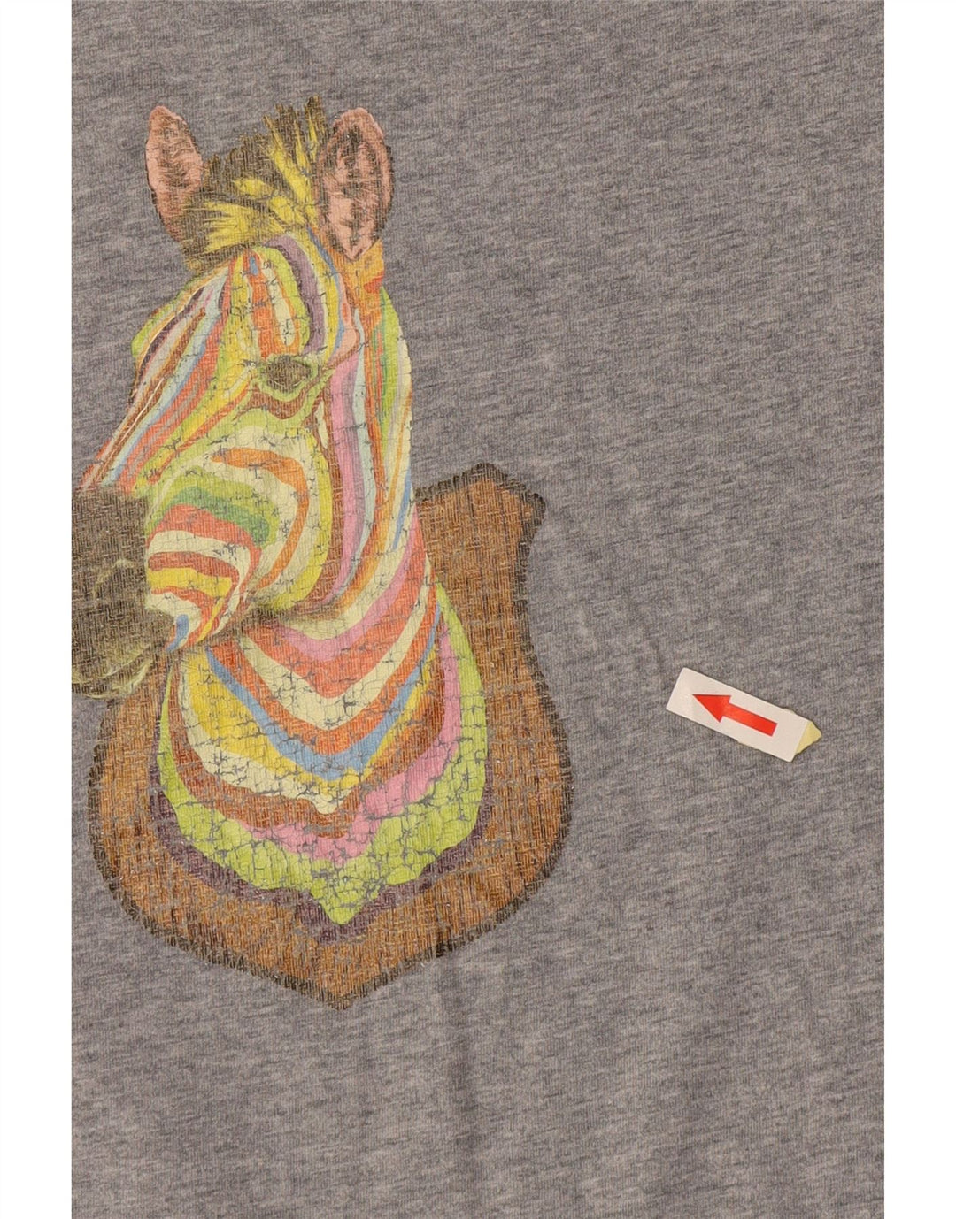 Męska koszulka z grafiką PAUL SMITH, mała, szara, bawełniana z nadrukiem zwierzęcym