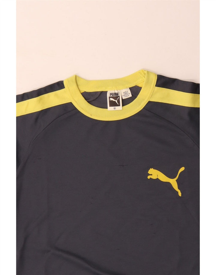 T-shirt męski PUMA Top, bawełniany, średnioszary, z blokami kolorów