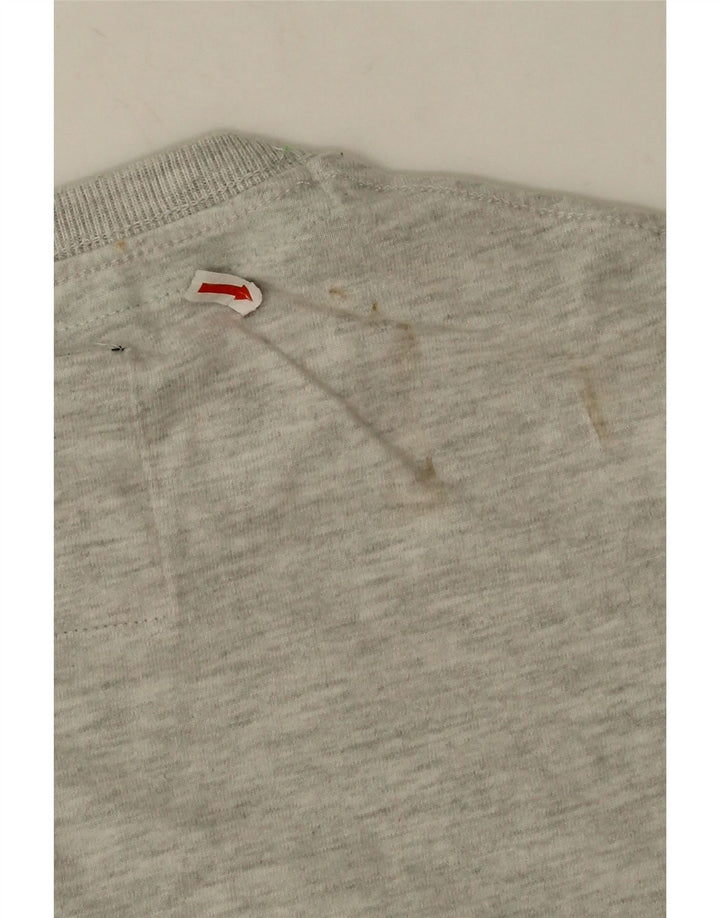Męski T-shirt z grafiką Superdry, średnioszary, bawełniany