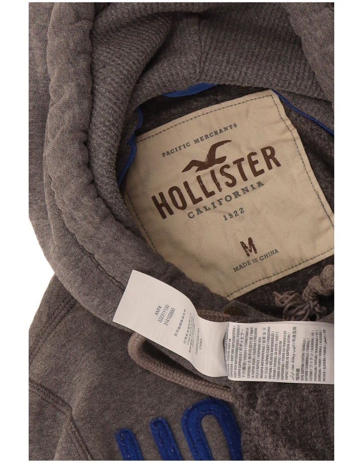 Męski sweter z kapturem i grafiką Hollister, średnioszary, bawełniany