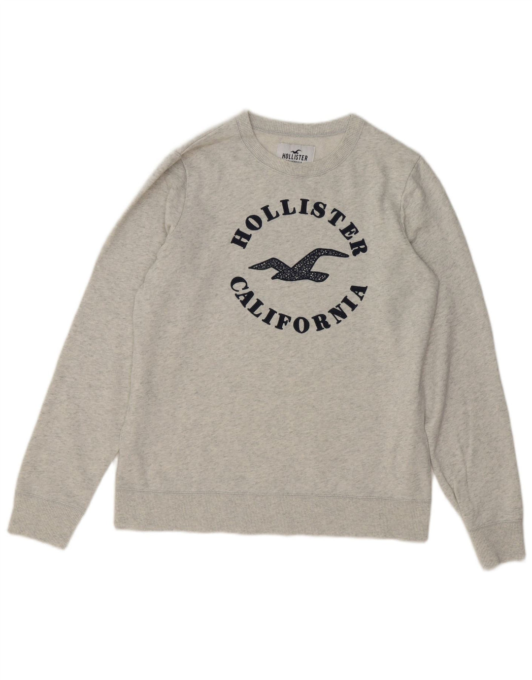 HOLLISTER Mens Graphic Sweatshirt Jumper Medium Grey Cotton