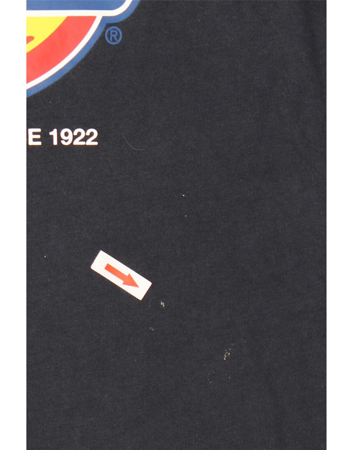 Męska koszulka z grafiką Dickies, średnia, granatowa bawełna