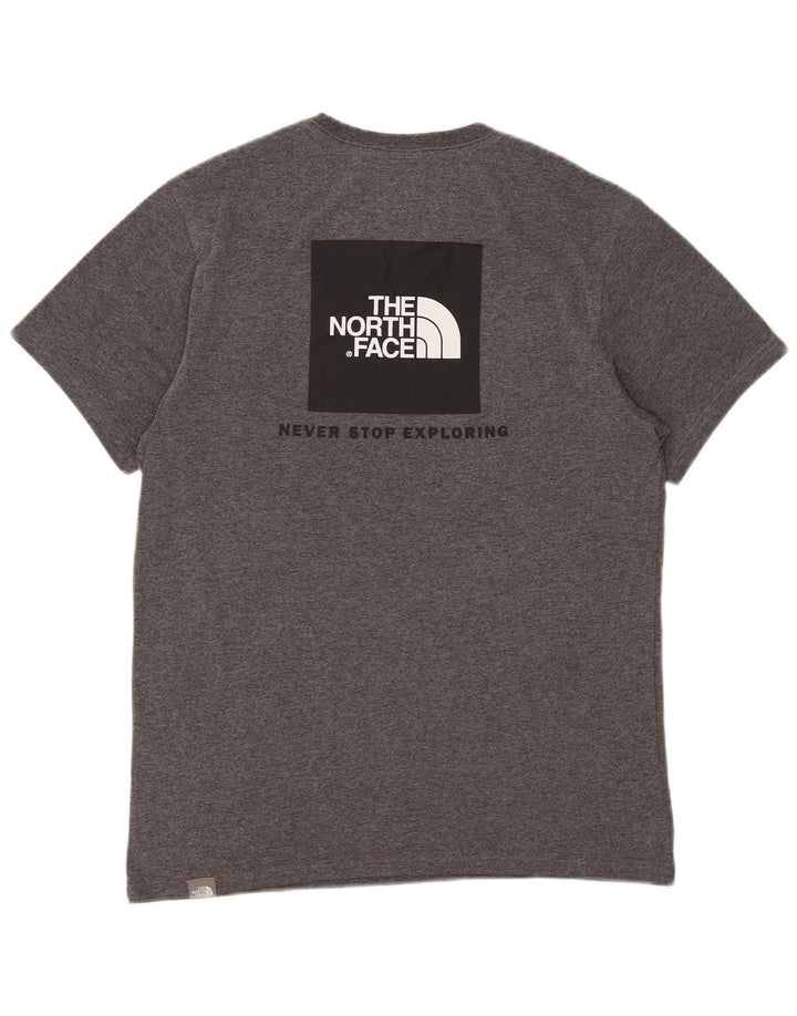 Męski T-shirt z grafiką The North Face, mały, szary, bawełniany