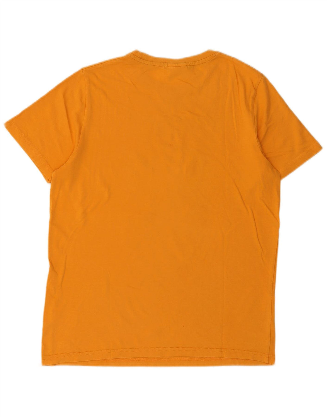 Męski T-shirt z grafiką Ellesse, mały, żółty, bawełniany