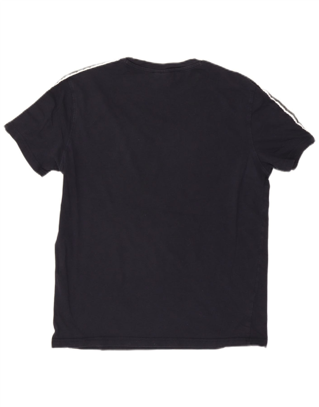 Męska koszulka z grafiką Champion, średnia, granatowa, bawełniana