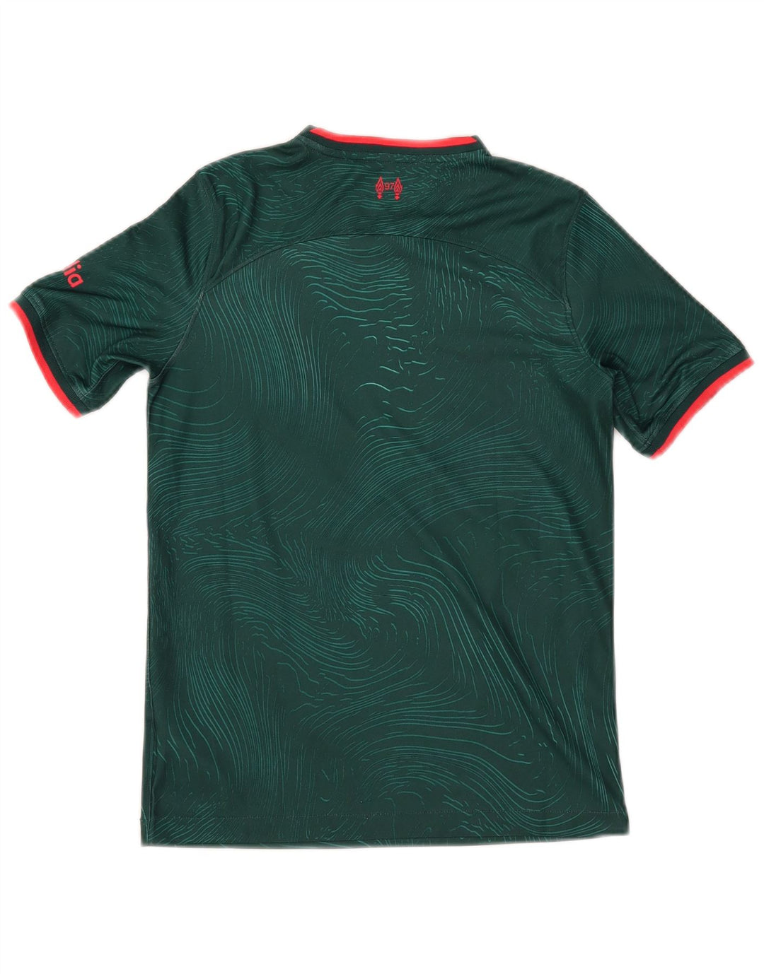 Chłopięcy T-shirt z grafiką NIKE na 11-12 lat, zielony, poliester