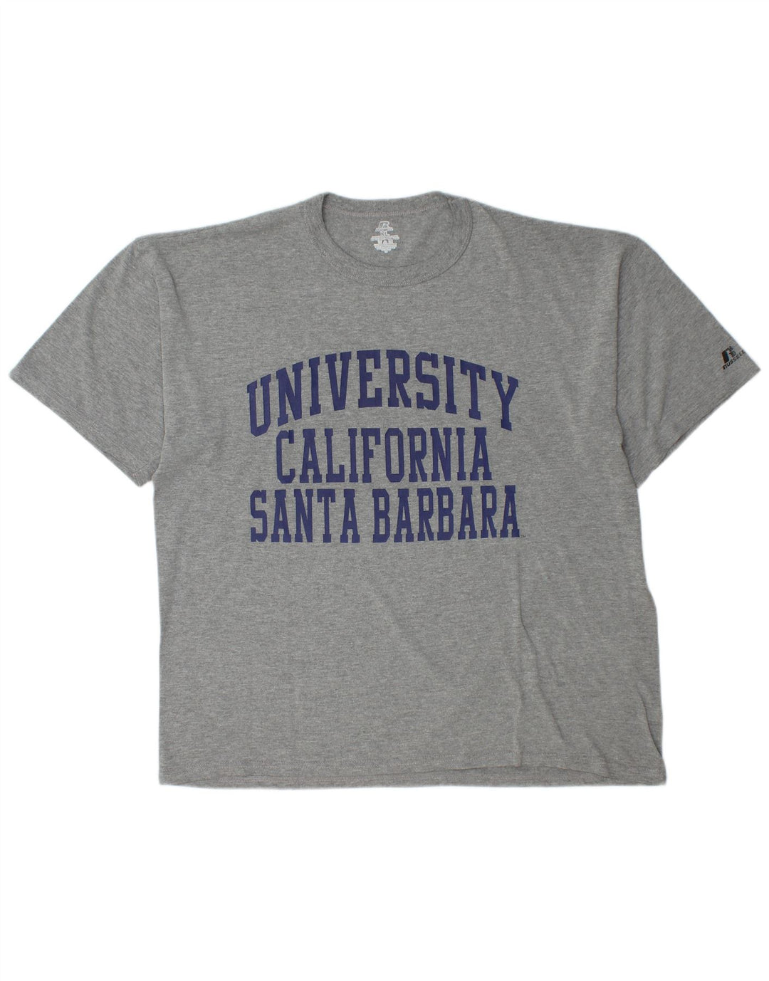 Męska koszulka z grafiką RUSSELL ATHLETIC Top XL, szara, bawełniana