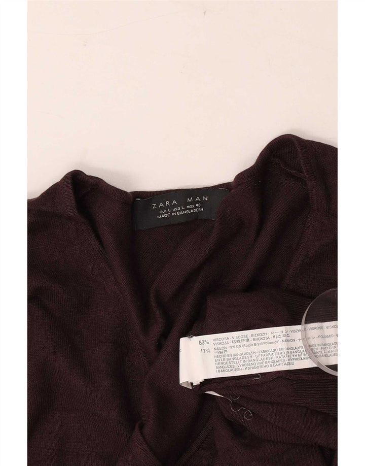 Męski sweter Zara z dekoltem w kształcie litery V, duży, brązowy, wiskoza