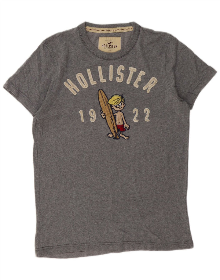 Męski T-shirt z grafiką Hollister, średnioszary, bawełniany
