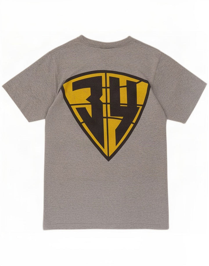 Męski T-shirt Reebok z grafiką, mały, szary