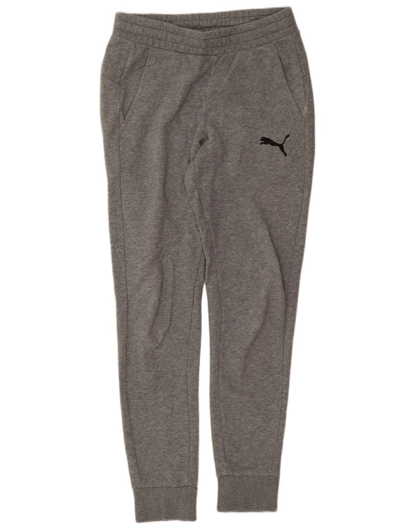 Męskie spodnie dresowe Puma Joggers Small Grey Sports