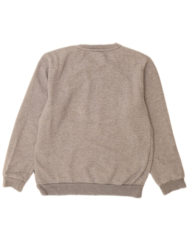 Męska bluza z grafiką Puma, mała, szara, nakrapiana bawełna