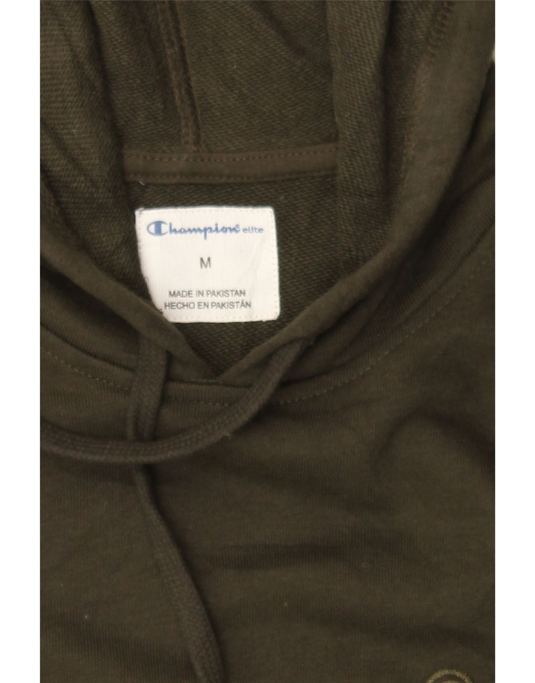 CHAMPION Mens Graphic Hoodie Jumper Medium Green Cotton Vintage Champion and Second-Hand Champion from Messina Hembry 