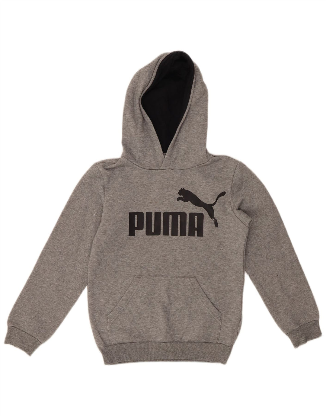 Chłopięcy sweter z kapturem i grafiką PUMA, 9-10 lat, szary
